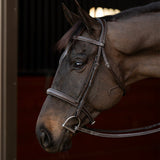 Henri de Rivel Pro Mono Crown Bridle with Padded Wide Noseband with Laced Reins - Henri de Rivel - Equiluxe Tack
