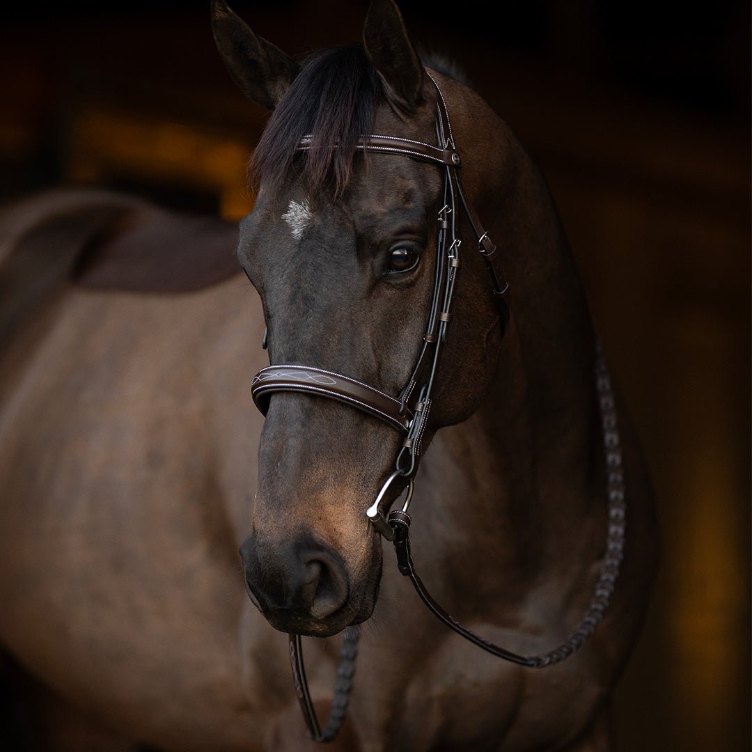 Henri de Rivel Pro Mono Crown Bridle with Padded Wide Noseband with Laced Reins - Henri de Rivel - Equiluxe Tack