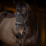 Henri de Rivel Pro Mono Crown Bridle with Padded Wide Noseband with Laced Reins - Henri de Rivel - Equiluxe Tack