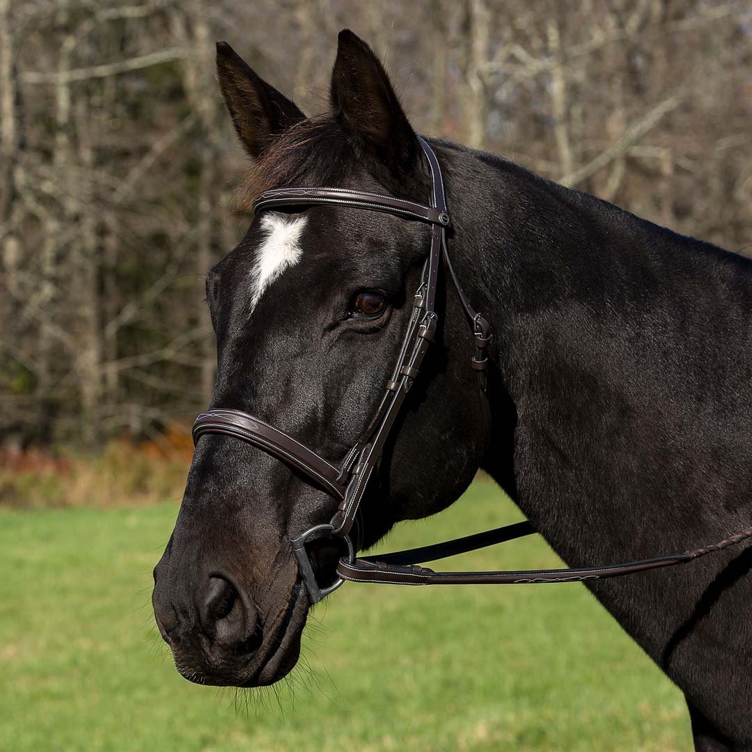Henri de Rivel Pro Mono Crown Bridle with Padded Wide Noseband with Laced Reins - Henri de Rivel - Equiluxe Tack