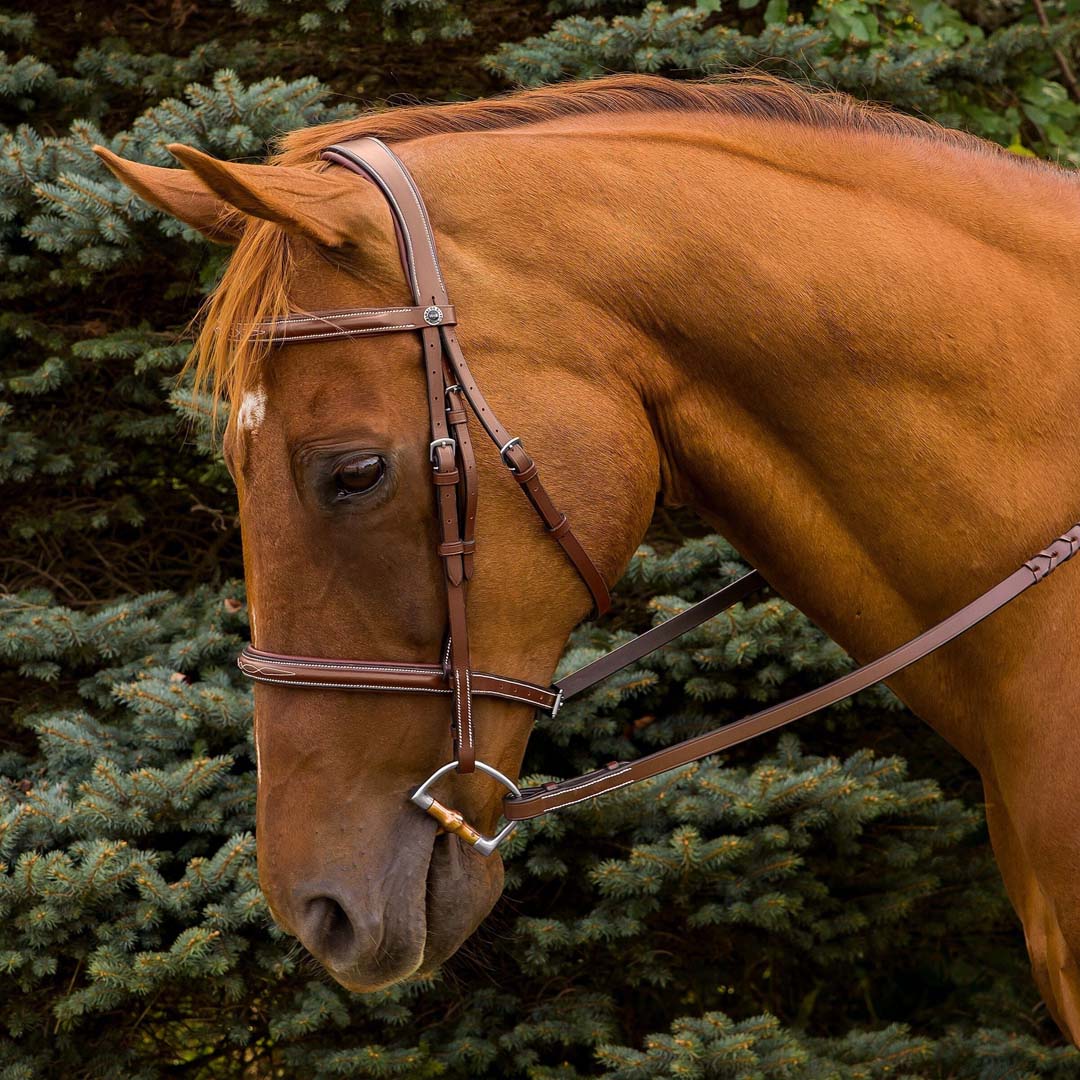 Henri de Rivel Pro Mono Crown Fancy Stitched Padded Bridle - Henri de Rivel - Equiluxe Tack