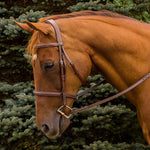Henri de Rivel Pro Mono Crown Fancy Stitched Padded Bridle - Henri de Rivel - Equiluxe Tack