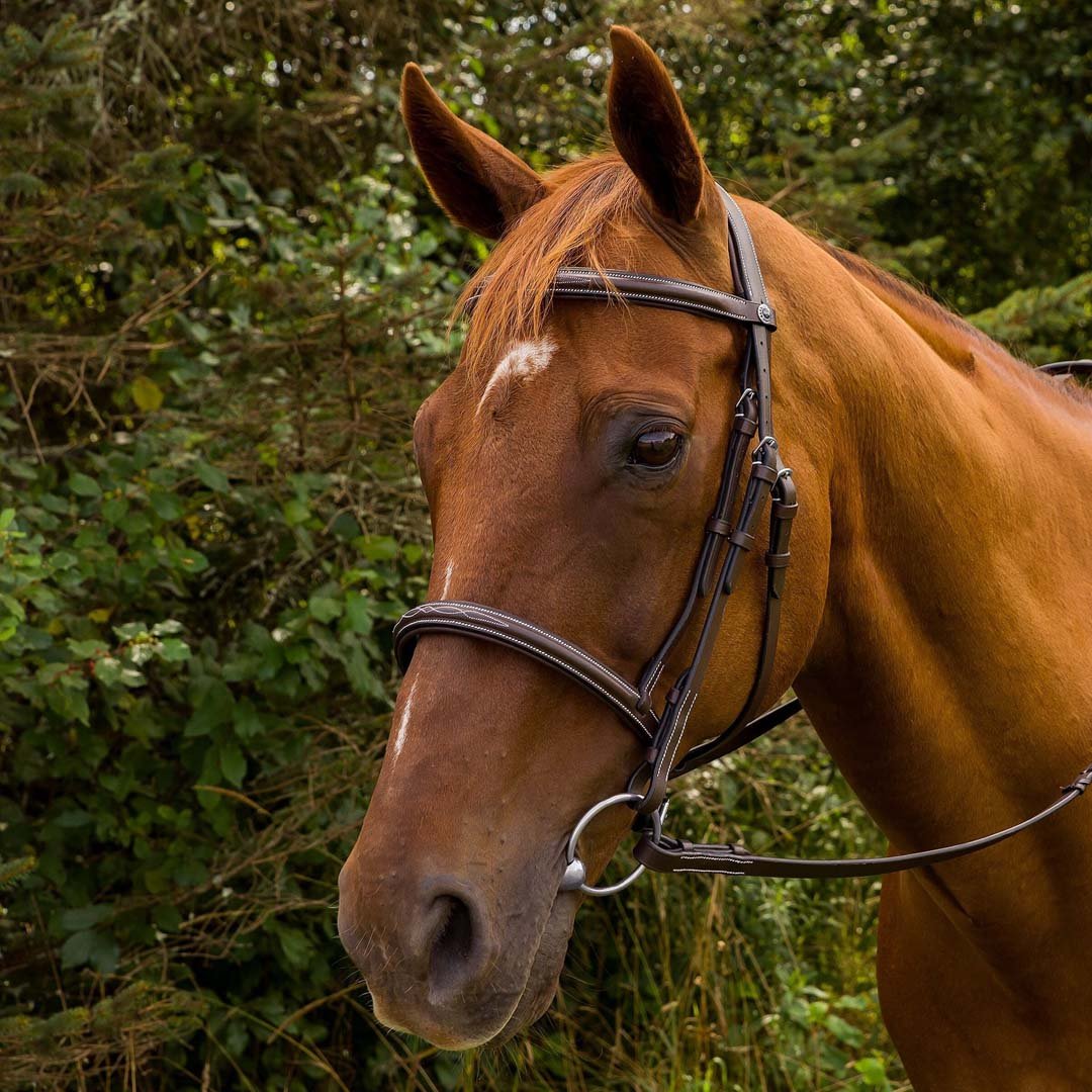 Henri de Rivel Pro Mono Crown Fancy Stitched Padded Bridle - Henri de Rivel - Equiluxe Tack