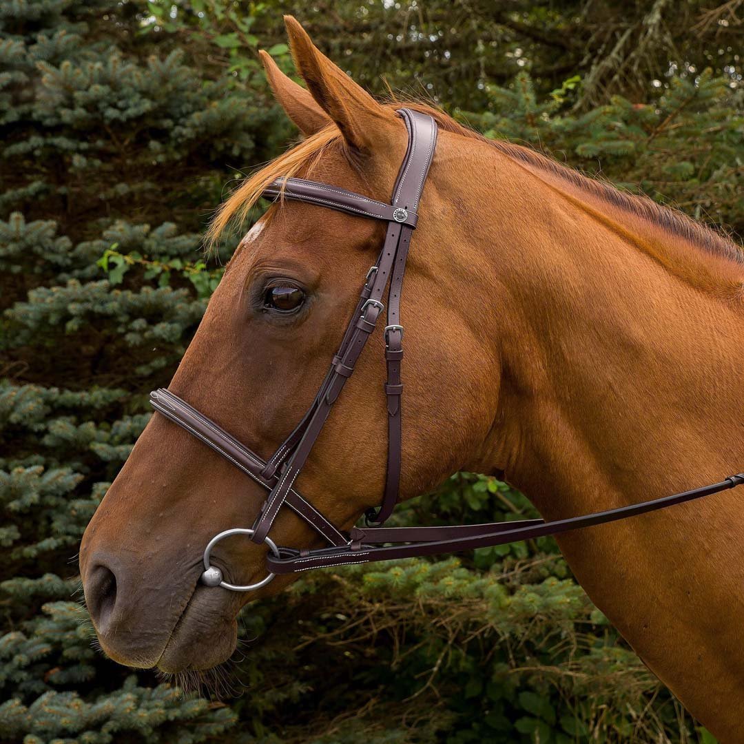 Henri de Rivel Pro Mono Crown Fancy Stitched Padded Bridle - Henri de Rivel - Equiluxe Tack
