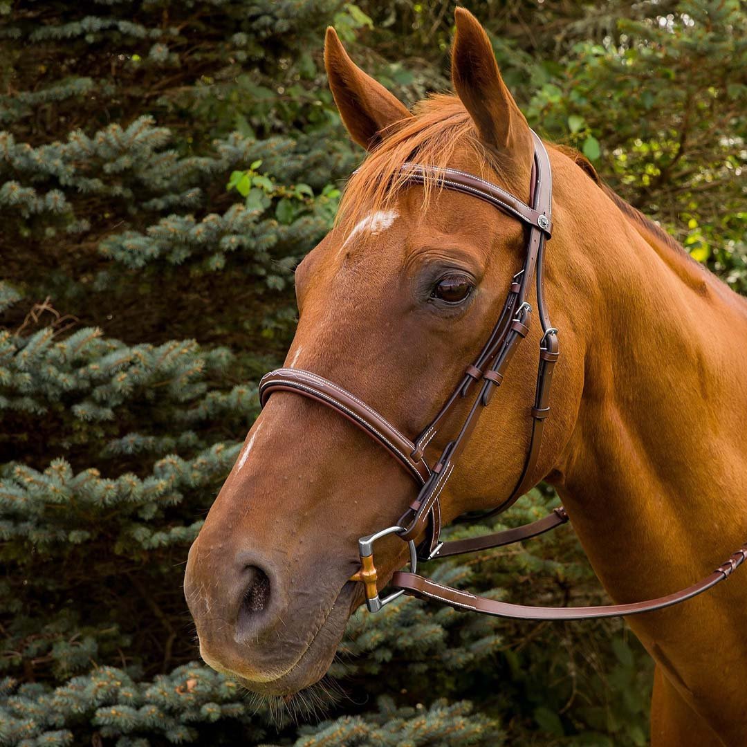 Henri de Rivel Pro Mono Crown Fancy Stitched Padded Bridle - Henri de Rivel - Equiluxe Tack
