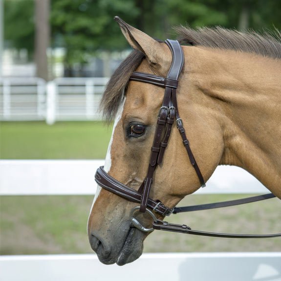Henri de Rivel Pro Mono - Crown Padded Wide Noseband Bridle - Henri de Rivel - Equiluxe Tack