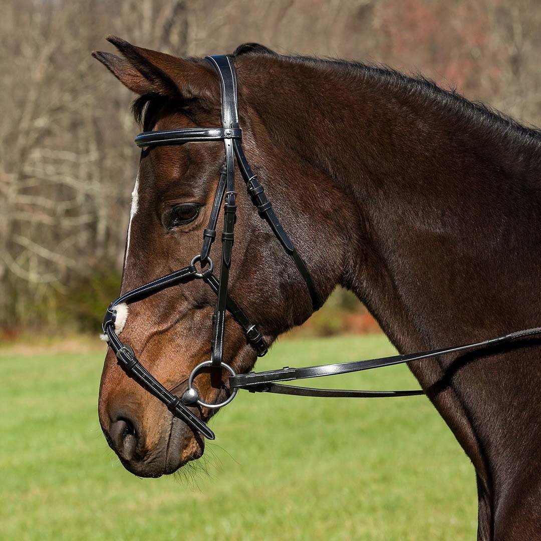 Henri de Rivel Pro Mono Crown Raised Figure Eight Bridle with Rubber Reins - Henri de Rivel - Equiluxe Tack