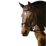 Henri de Rivel Pro Padded Raised Dressage Bridle with Crank Flash Noseband with Web Reins - Henri de Rivel - Equiluxe Tack
