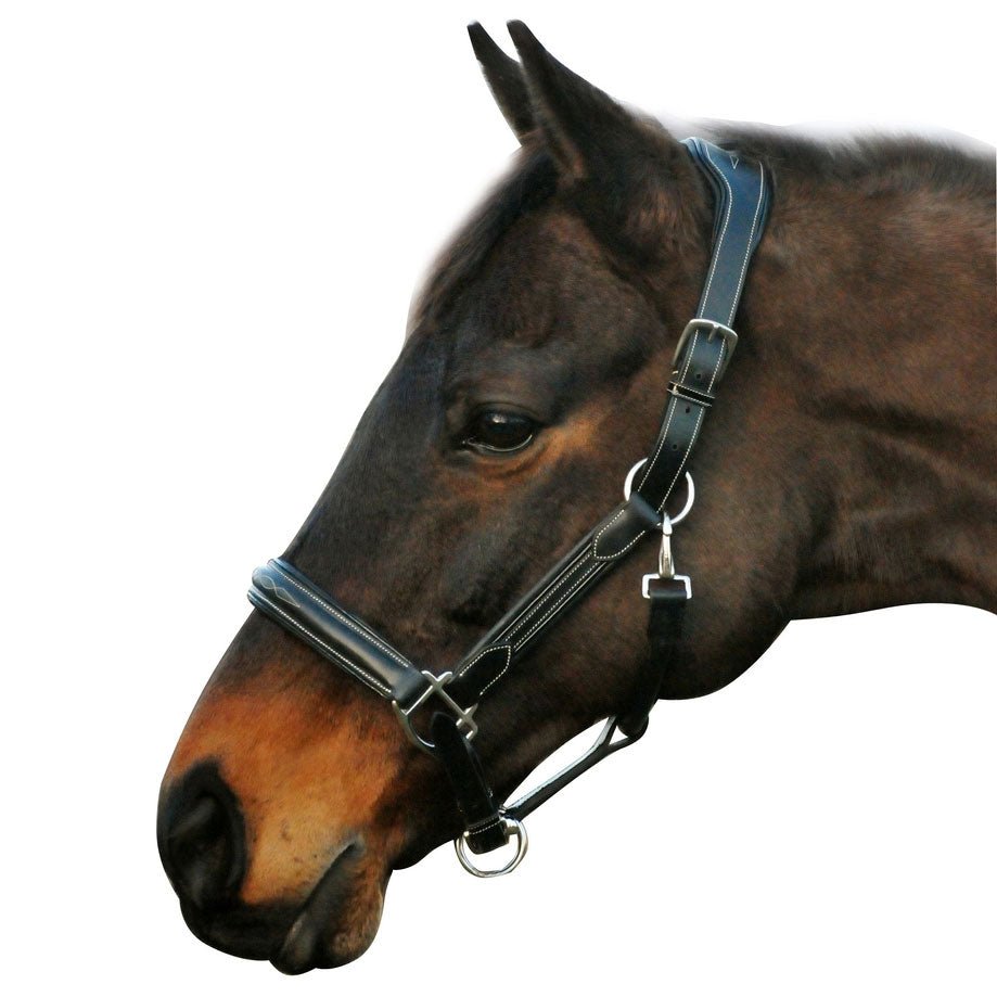 Henri de Rivel Stress Free Halter With Fancy Contrast Stitching - Henri de Rivel - Equiluxe Tack