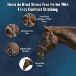 Henri de Rivel Stress Free Halter With Fancy Contrast Stitching - Henri de Rivel - Equiluxe Tack