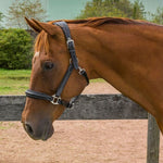 Henri de Rivel Stress Free Halter With Fancy Contrast Stitching - Henri de Rivel - Equiluxe Tack
