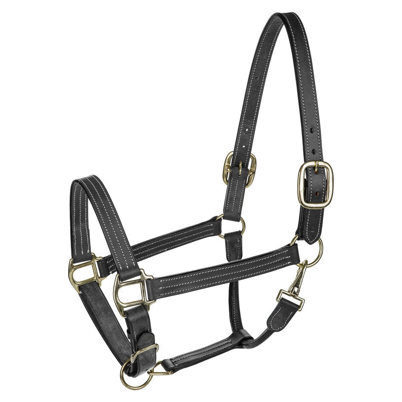Henri de Rivel Triple Stitched Halter - Henri de Rivel - Equiluxe Tack