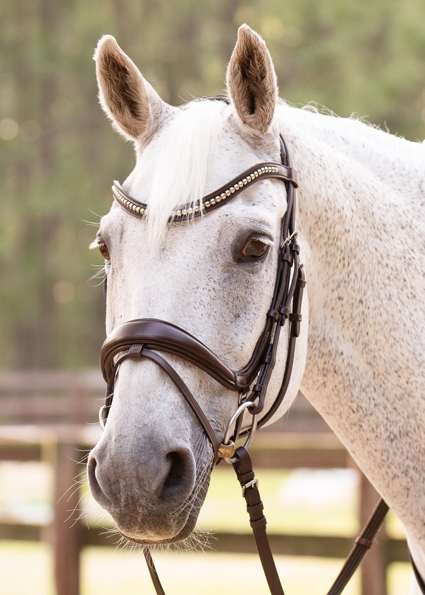 Hidden Flash! Pro - Fit Comfortable Bridle in Havana Brown or Black with Flash Noseband and Clincher Browband - CorrectConnect - Equiluxe Tack