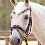 Hidden Flash! Pro - Fit Comfortable Bridle in Havana Brown or Black with Flash Noseband and Clincher Browband - CorrectConnect - Equiluxe Tack