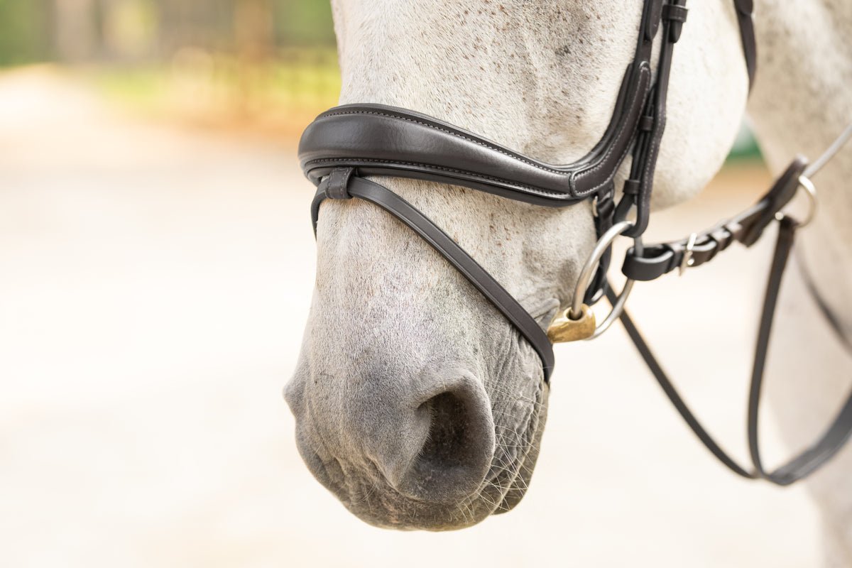 Hidden Flash! Pro - Fit Comfortable Bridle in Havana Brown or Black with Flash Noseband and Clincher Browband - CorrectConnect - Equiluxe Tack