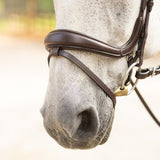 Hidden Flash! Pro - Fit Comfortable Bridle in Havana Brown or Black with Flash Noseband and Clincher Browband - CorrectConnect - Equiluxe Tack