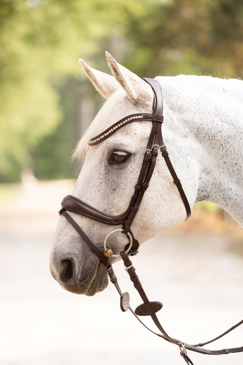 Hidden Flash! Pro - Fit Comfortable Bridle in Havana Brown or Black with Flash Noseband and Clincher Browband - CorrectConnect - Equiluxe Tack