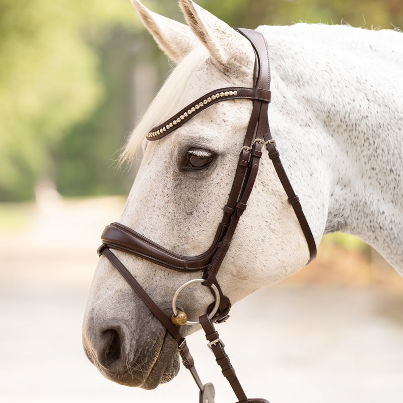 Hidden Flash! Pro - Fit Comfortable Bridle in Havana Brown or Black with Flash Noseband and Clincher Browband - CorrectConnect - Equiluxe Tack