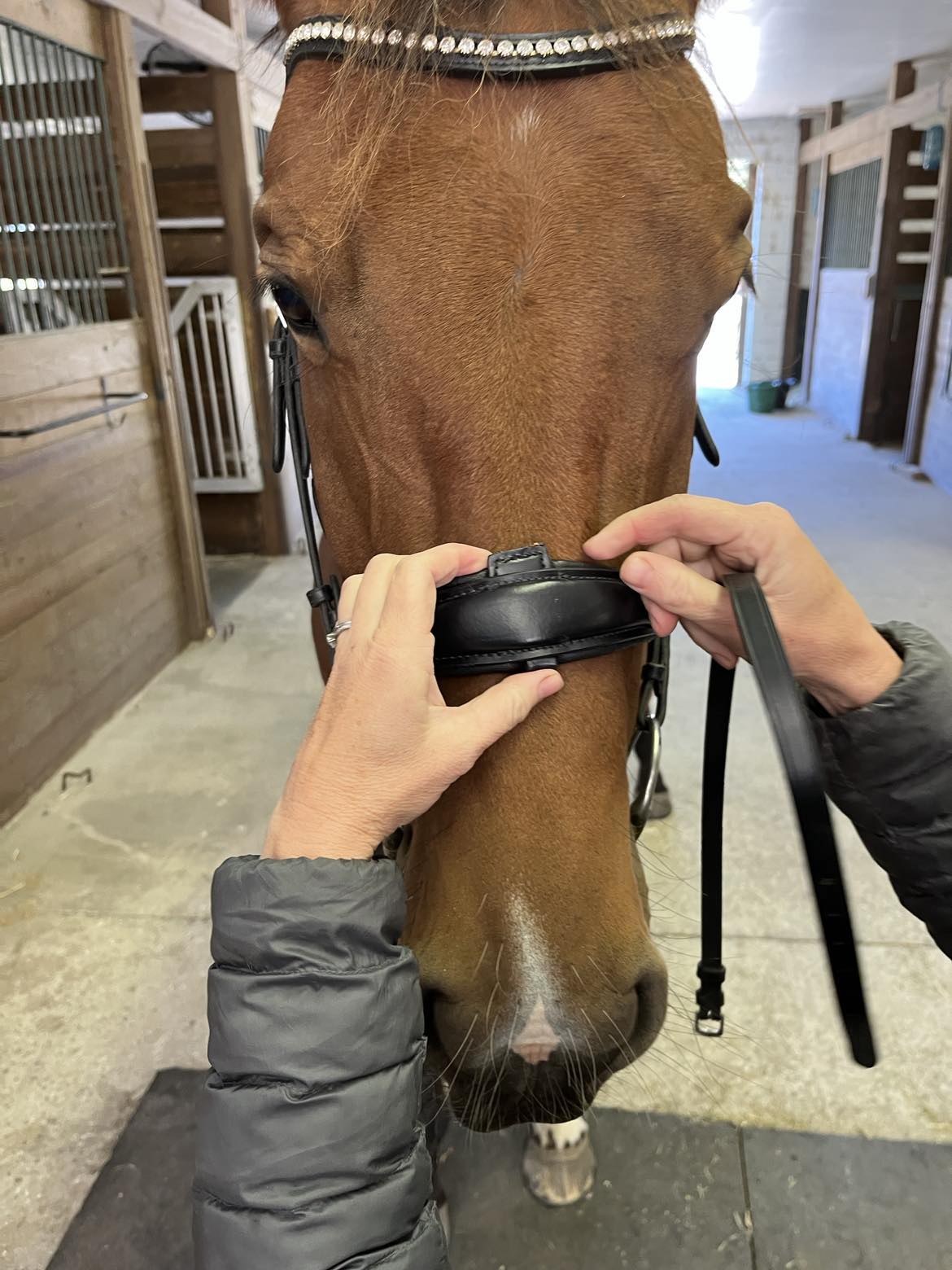 Hidden Flash! Pro - Fit Comfortable Bridle in Havana Brown or Black with Flash Noseband and Clincher Browband - CorrectConnect - Equiluxe Tack