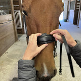 Hidden Flash! Pro - Fit Comfortable Bridle in Havana Brown or Black with Flash Noseband and Clincher Browband - CorrectConnect - Equiluxe Tack