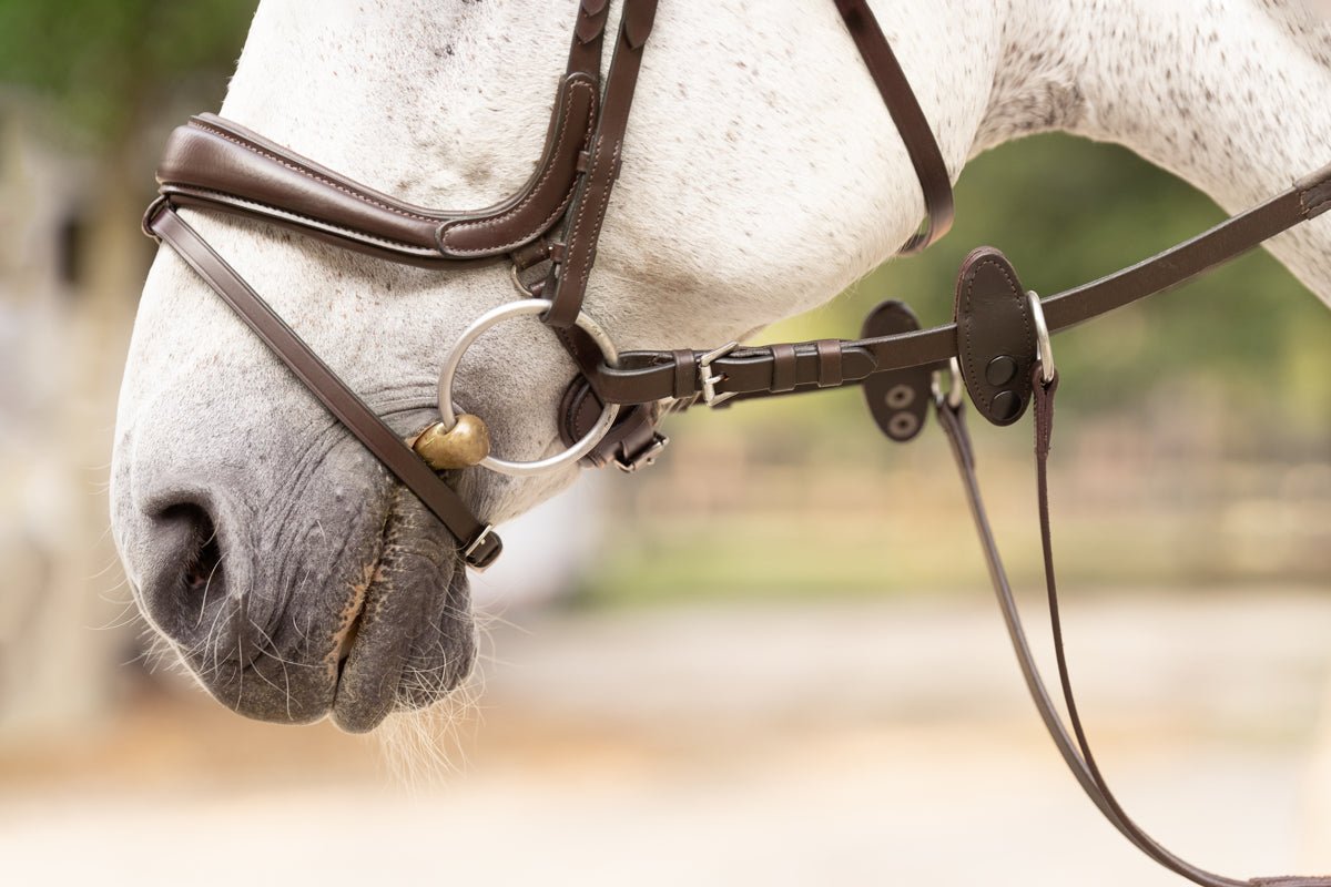 Hidden Flash! Pro - Fit Comfortable Bridle in Havana Brown or Black with Flash Noseband and Clincher Browband - CorrectConnect - Equiluxe Tack