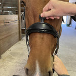 Hidden Flash! Pro - Fit Comfortable Bridle in Havana Brown or Black with Flash Noseband and Clincher Browband - CorrectConnect - Equiluxe Tack