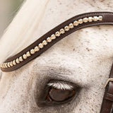 Hidden Flash! Pro - Fit Comfortable Bridle in Havana Brown or Black with Flash Noseband and Clincher Browband - CorrectConnect - Equiluxe Tack