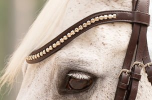 Hidden Flash! Pro - Fit Comfortable Bridle in Havana Brown or Black with Flash Noseband and Clincher Browband - CorrectConnect - Equiluxe Tack