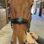 Hidden Flash! Pro - Fit Comfortable Bridle in Havana Brown or Black with Flash Noseband and Clincher Browband - CorrectConnect - Equiluxe Tack