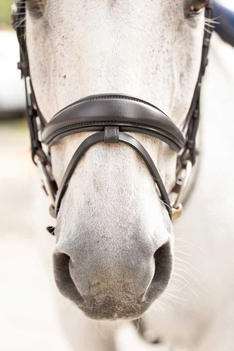 Hidden Flash! Pro - Fit Comfortable Bridle in Havana Brown or Black with Flash Noseband and Clincher Browband - CorrectConnect - Equiluxe Tack