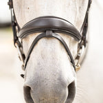 Hidden Flash! Pro - Fit Comfortable Bridle in Havana Brown or Black with Flash Noseband and Clincher Browband - CorrectConnect - Equiluxe Tack