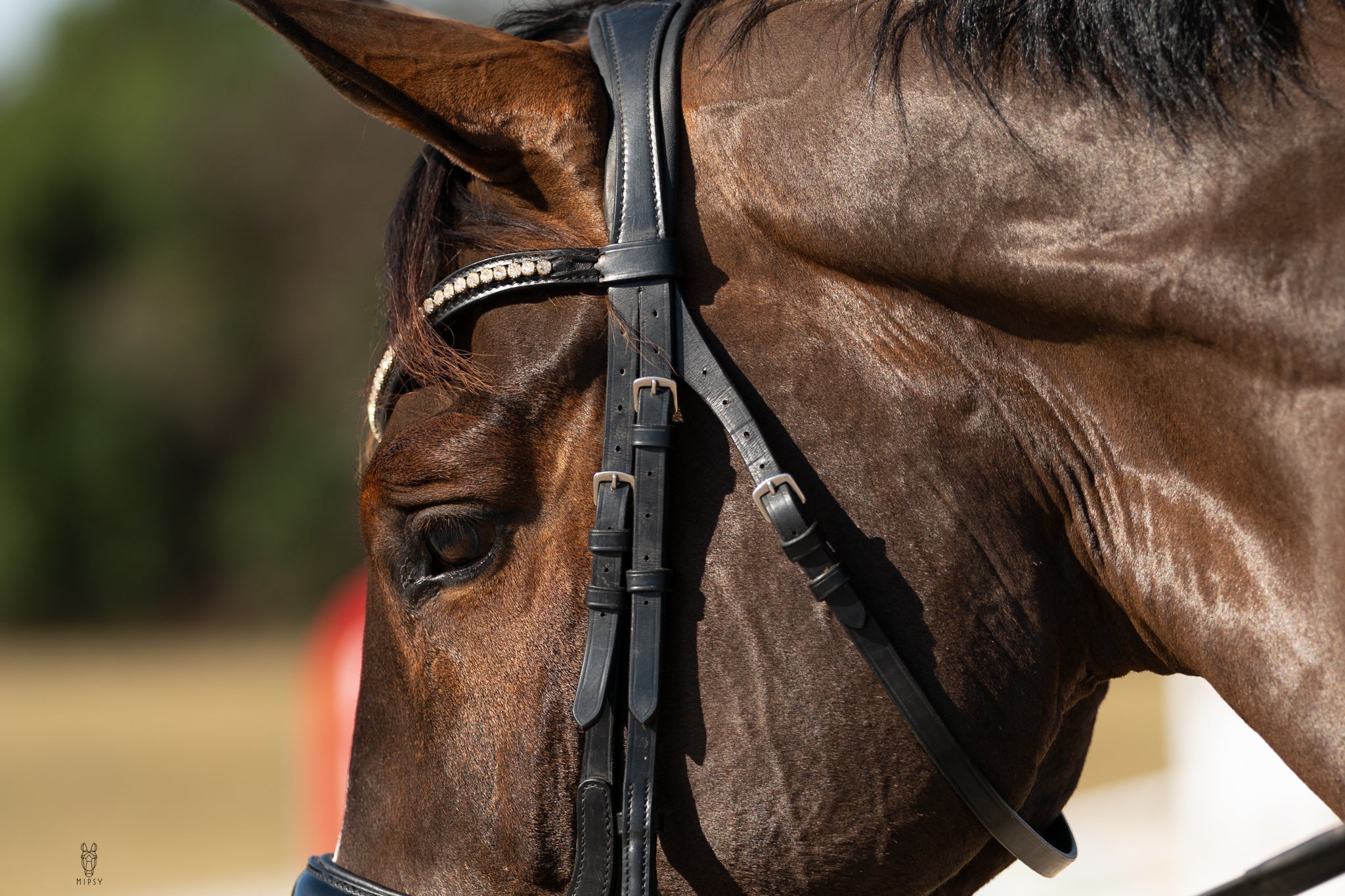 Hidden Flash! Pro - fit Comfortable Bridle with Patent Noseband and Crystal Browband - CorrectConnect - Equiluxe Tack