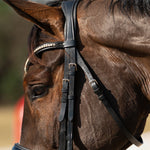 Hidden Flash! Pro - fit Comfortable Bridle with Patent Noseband and Crystal Browband - CorrectConnect - Equiluxe Tack