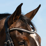 Hidden Flash! Pro - fit Comfortable Bridle with Patent Noseband and Crystal Browband - CorrectConnect - Equiluxe Tack