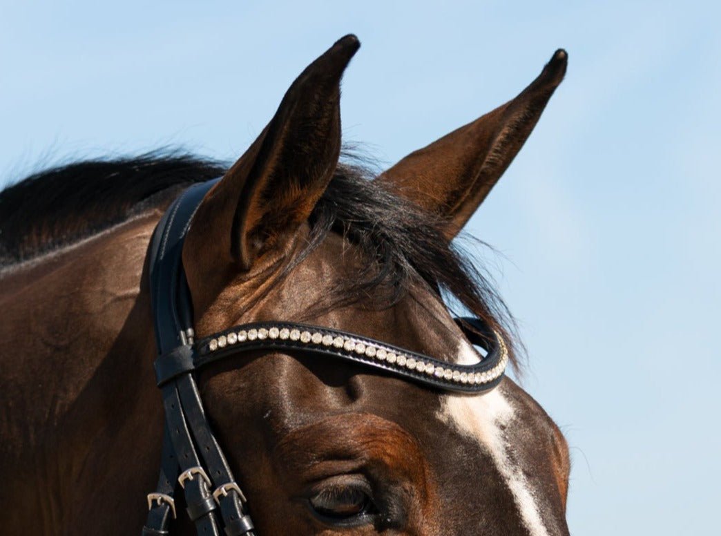 Hidden Flash! Pro - fit Comfortable Bridle with Patent Noseband and Crystal Browband - CorrectConnect - Equiluxe Tack