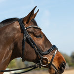 Hidden Flash! Pro - fit Comfortable Bridle with Patent Noseband and Crystal Browband - CorrectConnect - Equiluxe Tack