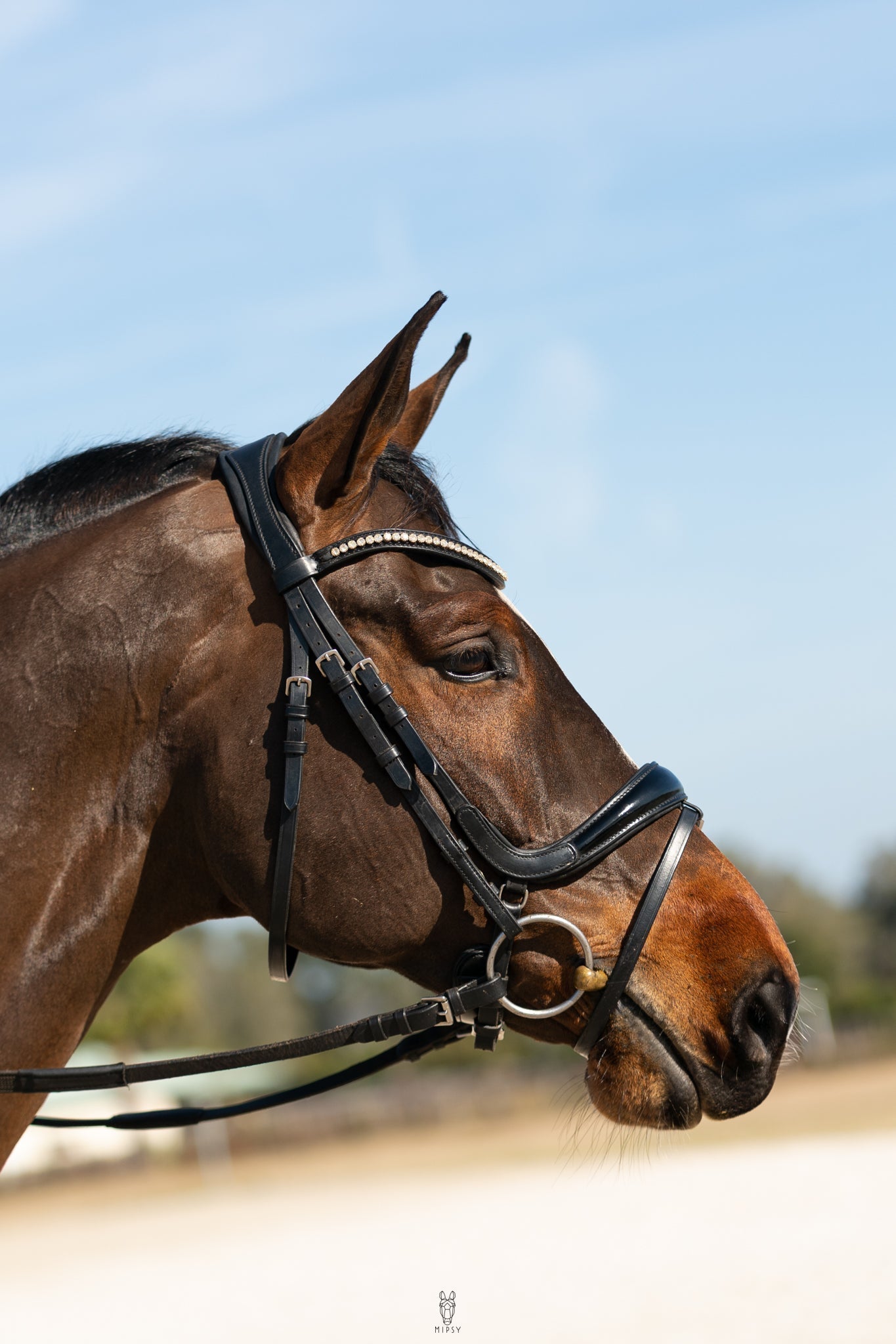 Hidden Flash! Pro - fit Comfortable Bridle with Patent Noseband and Crystal Browband - CorrectConnect - Equiluxe Tack