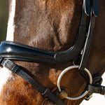 Hidden Flash! Pro - fit Comfortable Bridle with Patent Noseband and Crystal Browband - CorrectConnect - Equiluxe Tack