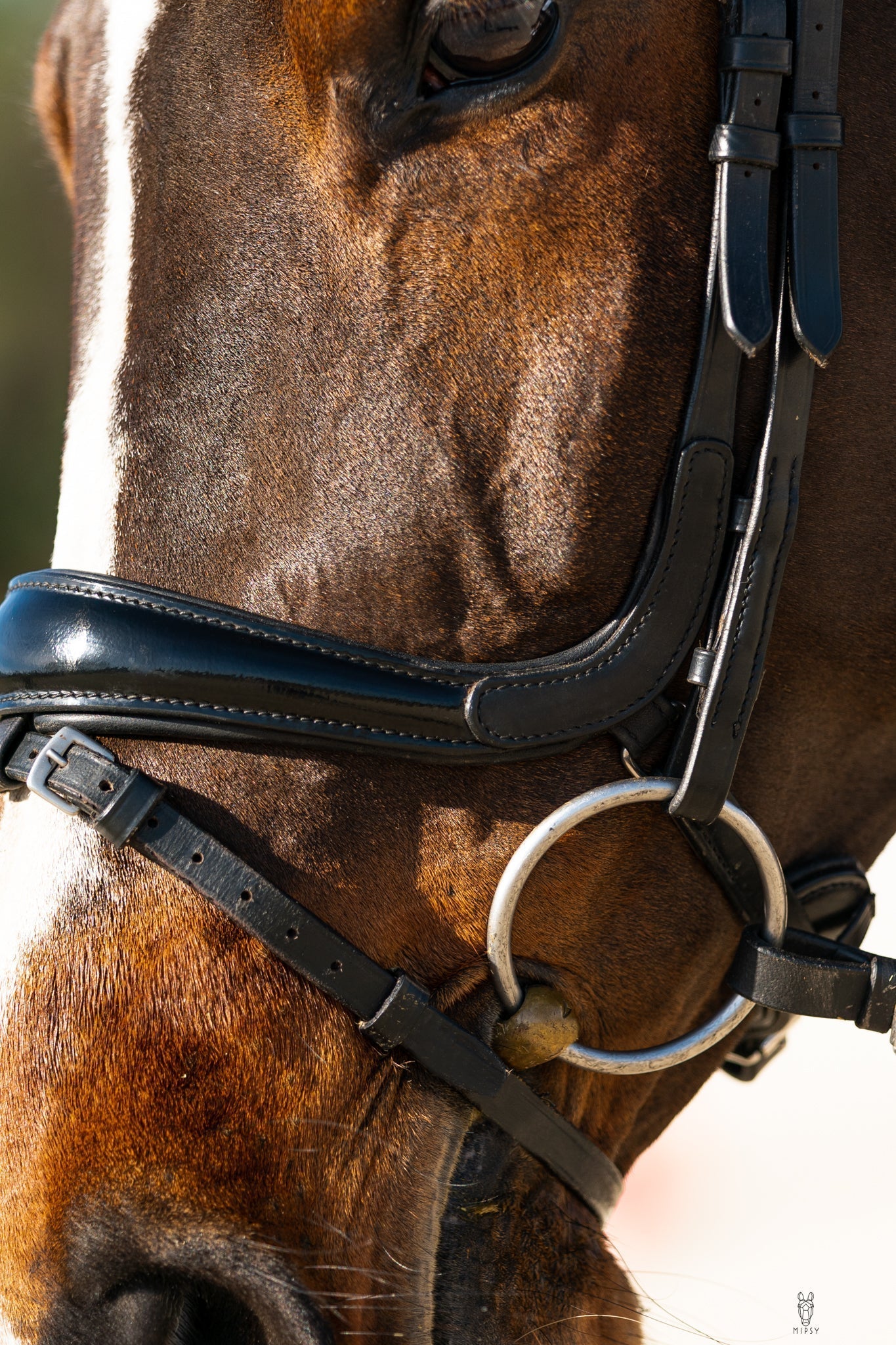 Hidden Flash! Pro - fit Comfortable Bridle with Patent Noseband and Crystal Browband - CorrectConnect - Equiluxe Tack