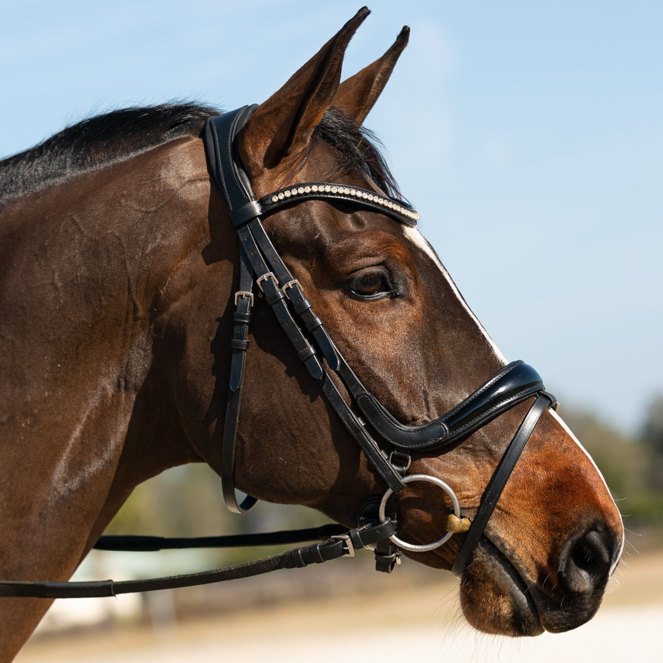 Hidden Flash! Pro - fit Comfortable Bridle with Patent Noseband and Crystal Browband - CorrectConnect - Equiluxe Tack