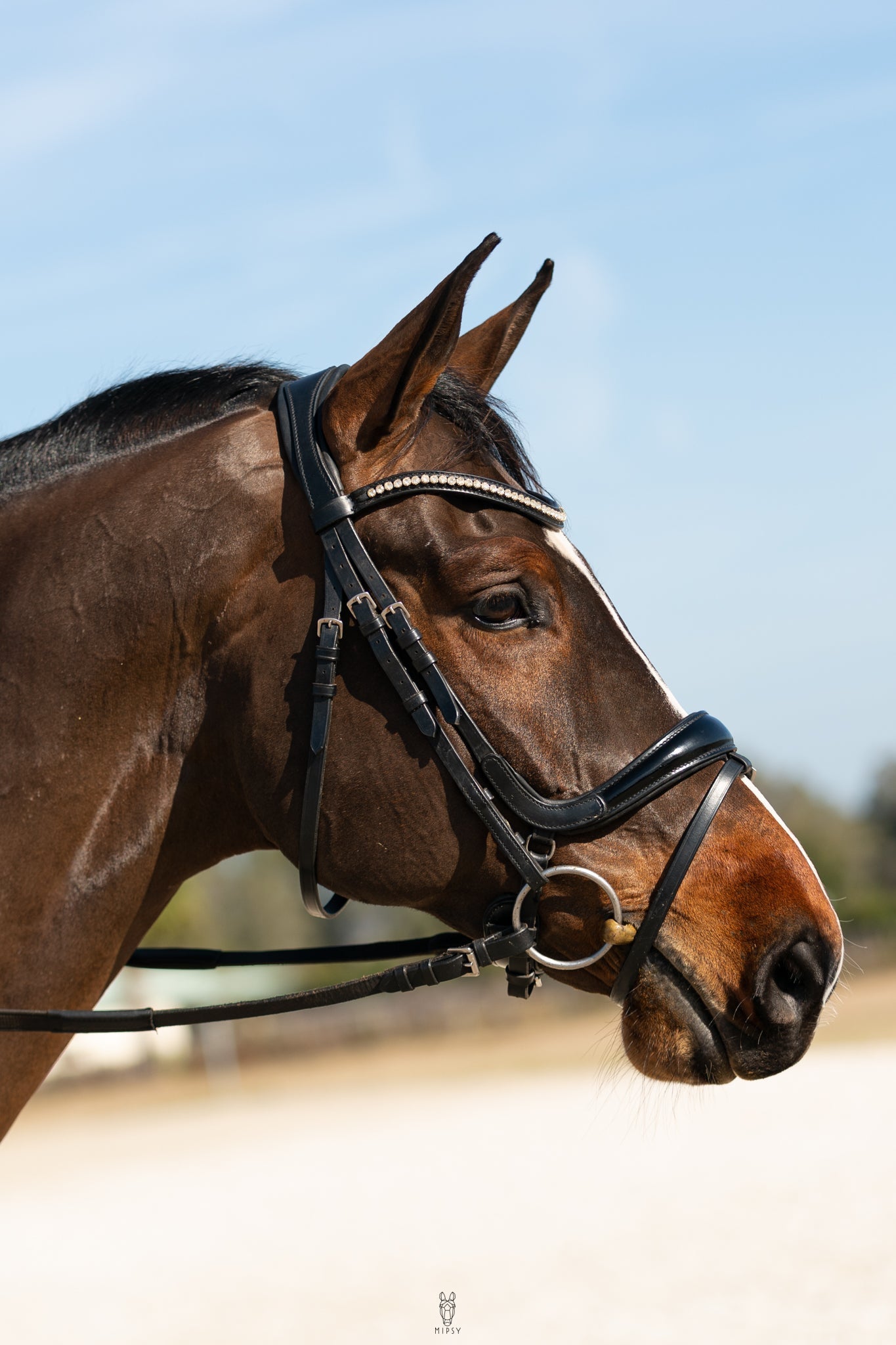 Hidden Flash! Pro - fit Comfortable Bridle with Patent Noseband and Crystal Browband - CorrectConnect - Equiluxe Tack