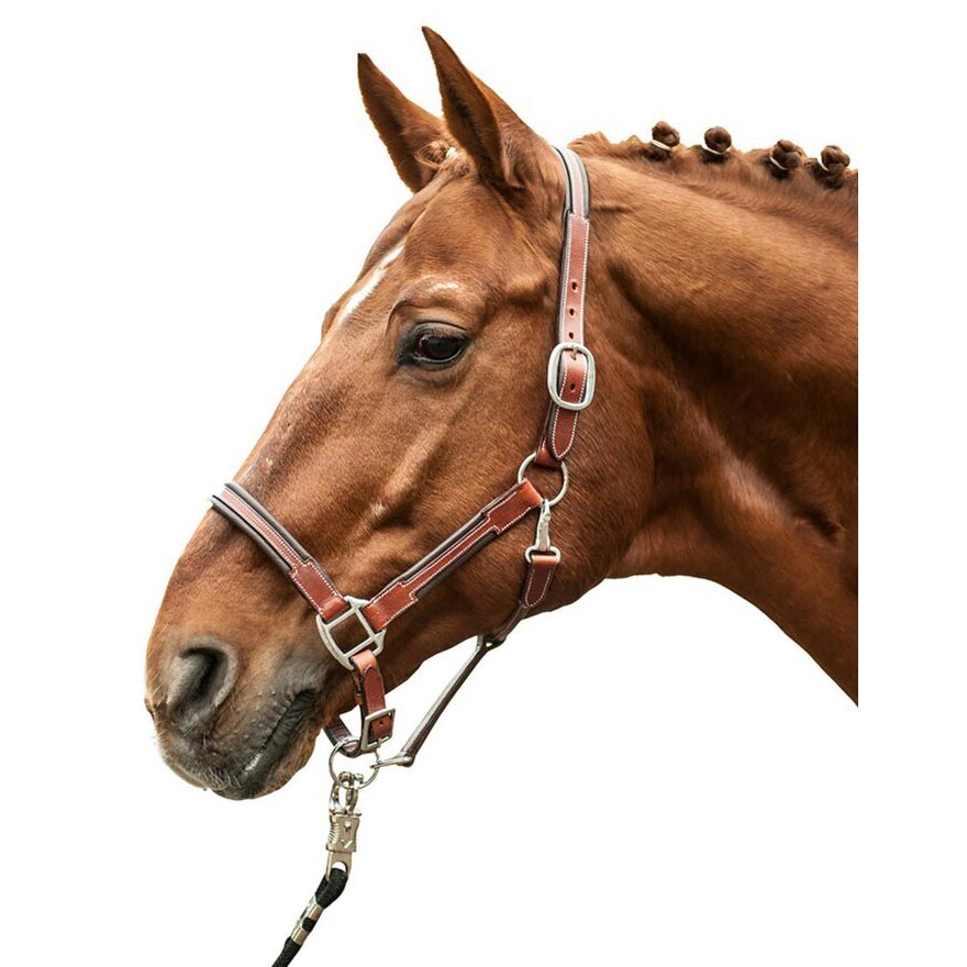HKM Leather Halter - Soft - Brown - HKM - Equiluxe Tack
