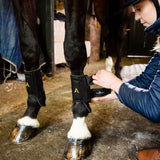 Horseware® Adagio Boots - Horseware Ireland - Equiluxe Tack