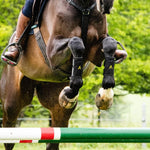 Horseware Adagio Boots - Horseware Ireland - Equiluxe Tack