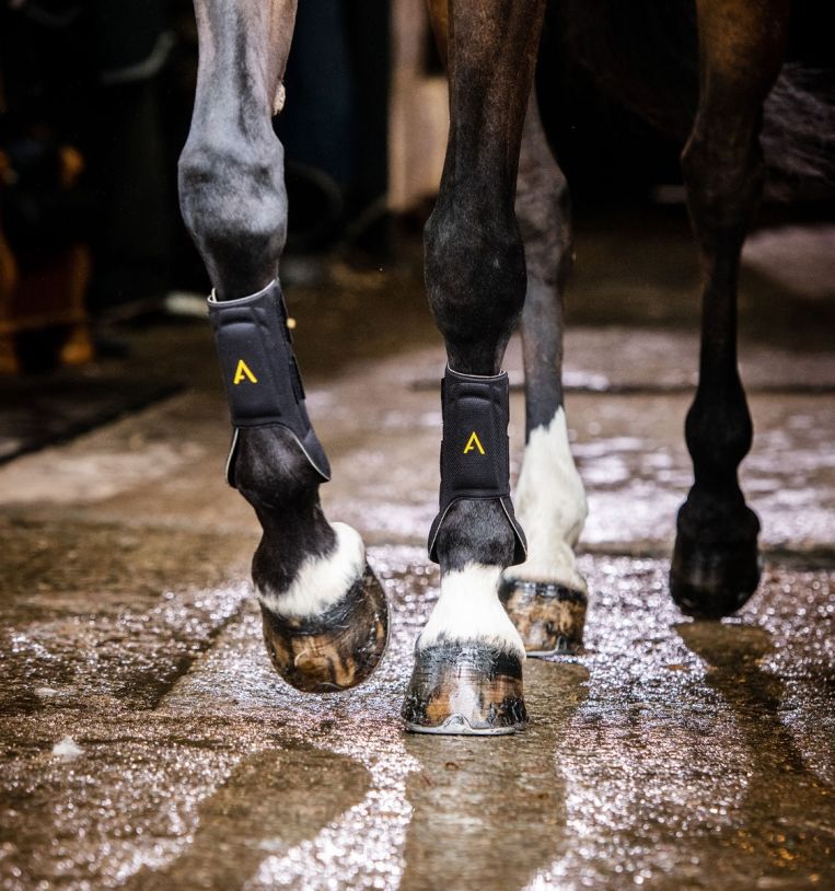 Horseware® Adagio Boots - Horseware Ireland - Equiluxe Tack