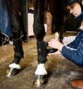 Horseware Adagio Boots - Horseware Ireland - Equiluxe Tack