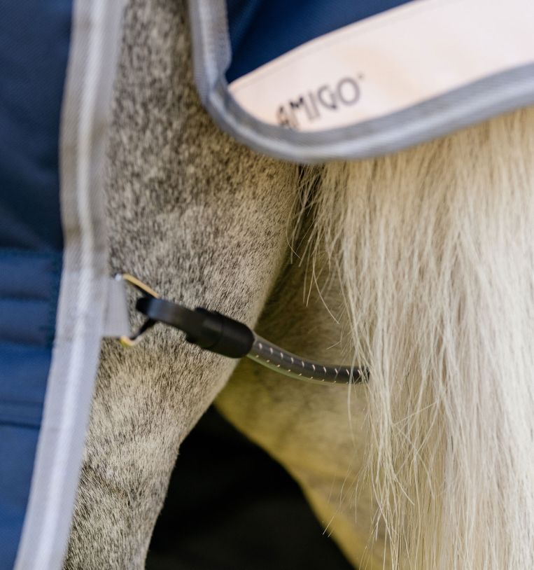 Horseware Amigo® 1200D Plus Pony Turnout 250g - Horseware Ireland - Equiluxe Tack