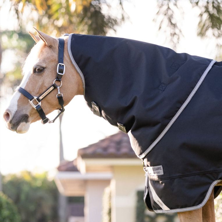 Horseware Amigo® 1200D Plus Pony Turnout 50g - Horseware Ireland - Equiluxe Tack