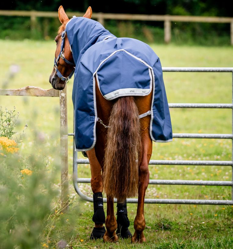 Horseware Amigo® 1200D Plus Turnout 50g - Horseware Ireland - Equiluxe Tack