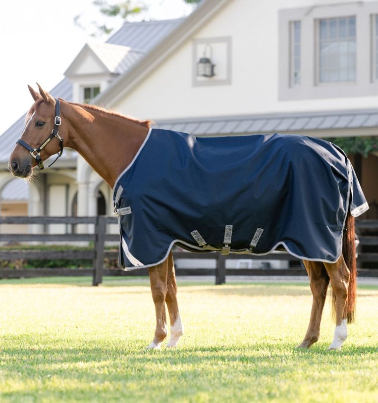 Horseware Amigo® 1200D Turnout 250g - Horseware Ireland - Equiluxe Tack